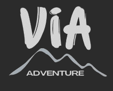 Via Logo